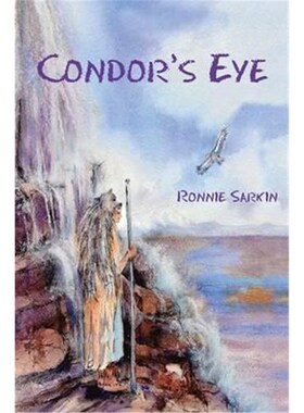 按需印刷不退不换Condor's Eye[9781490766386]