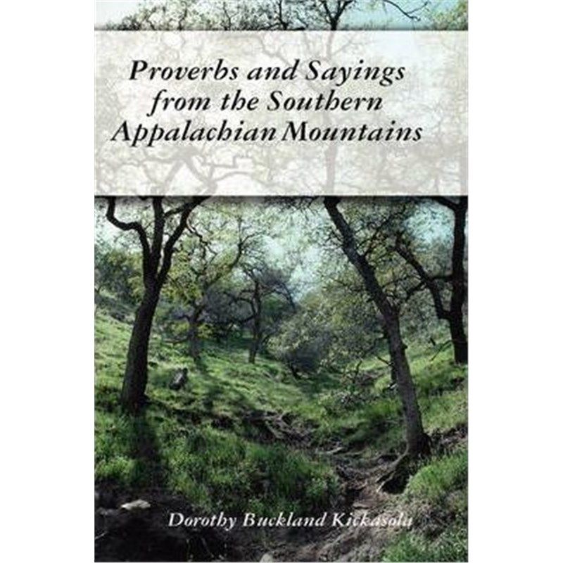 预订，预计下单后3-4周左右发货！