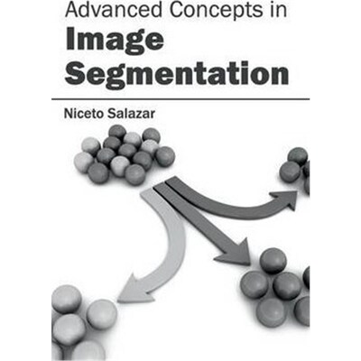 按需印刷不退不换Advanced Concepts in Image Segmentation[9781632400154]