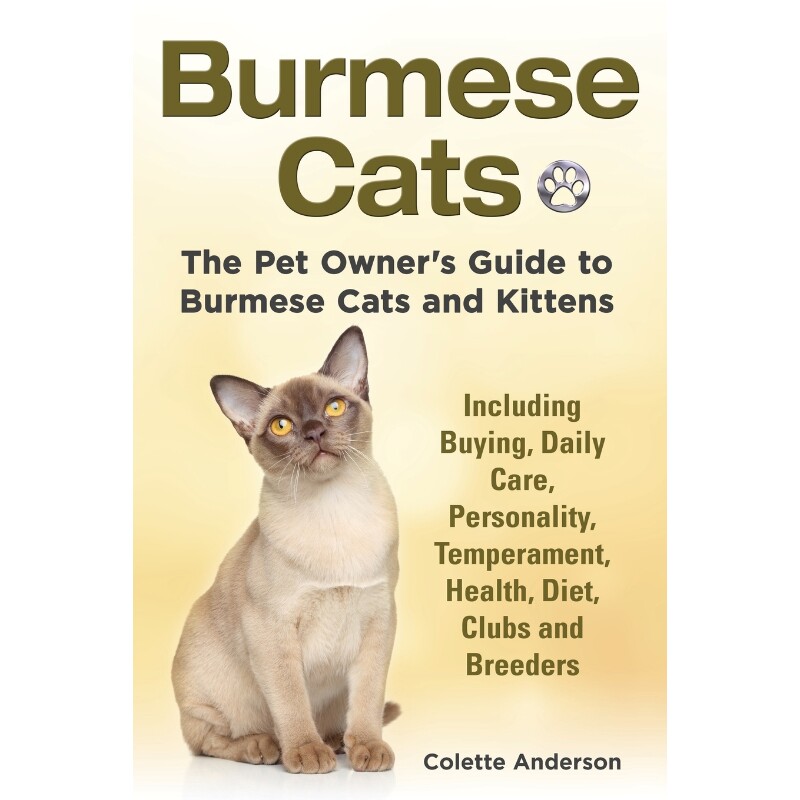 预订不退不换Burmese Cats, The Pet Owner's Guide to Burmese Cats and Kittens Including Buying, Daily Care, Person
