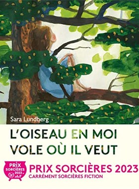 法语 儿童绘本 L'OISEAU EN MOI VOLE OU IL VEUT 原版进口