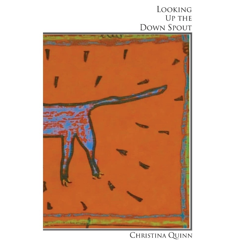 按需印刷不退不换Looking Up the Down Spout / Ricocheted Memories[9781950433087]