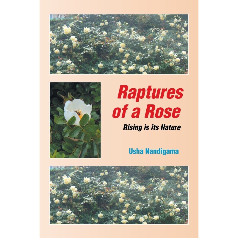 按需印刷不退不换Raptures of a Rose[9781482872644]