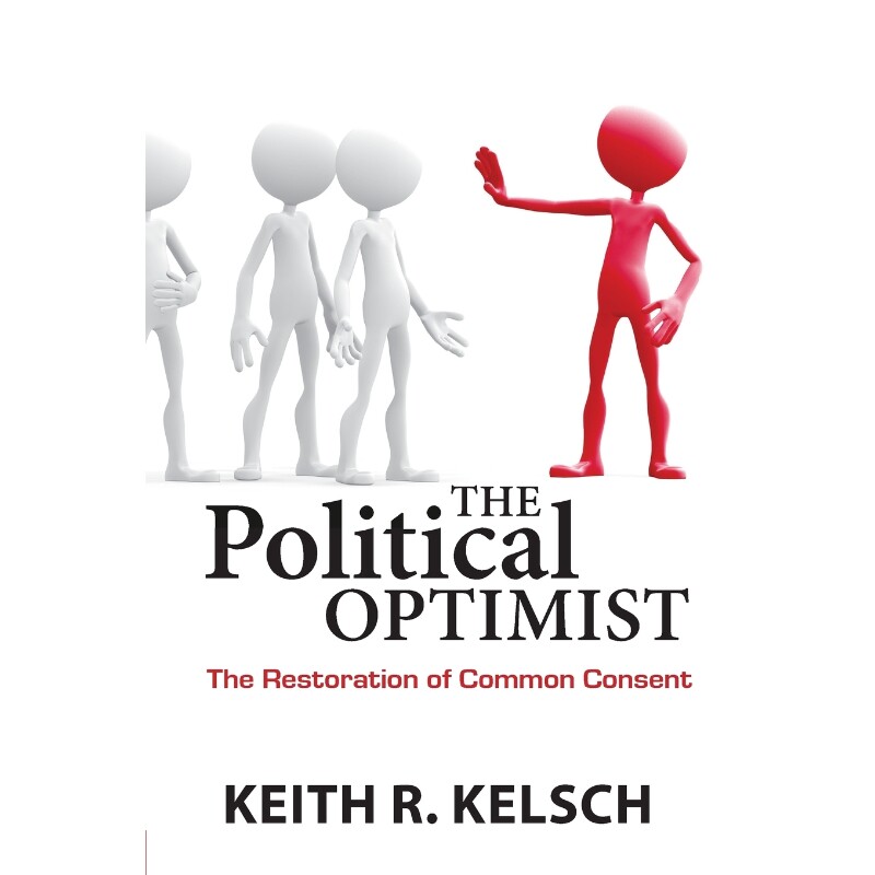 按需印刷不退不换The Political Optimist[9780982731352]