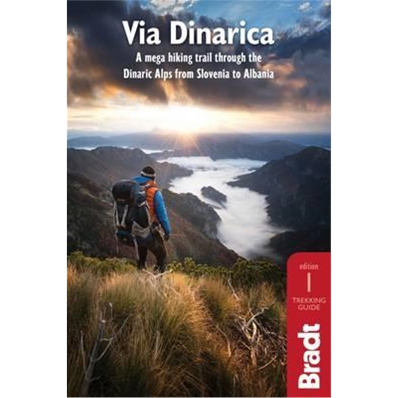 预订,下单后3-4周发货!