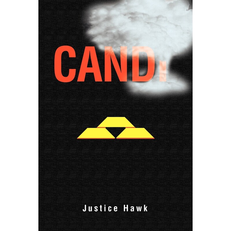 按需印刷不退不换Candi[9780595267828]