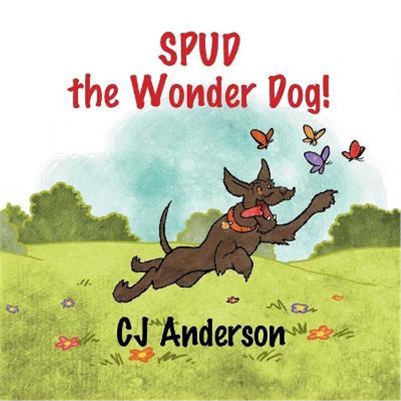 预订，预计下单后3-4周左右发货！