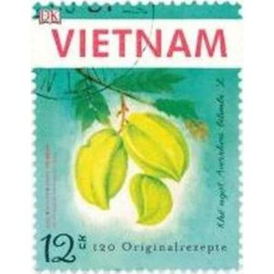 预订不退不换德语 Vietnam:120 Originalrezepte