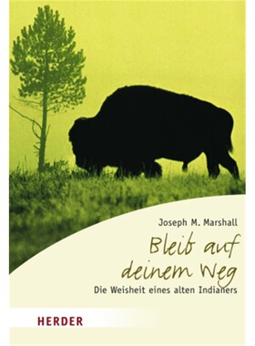 预订【德语】Bleib auf deinem Weg[9783451070693]