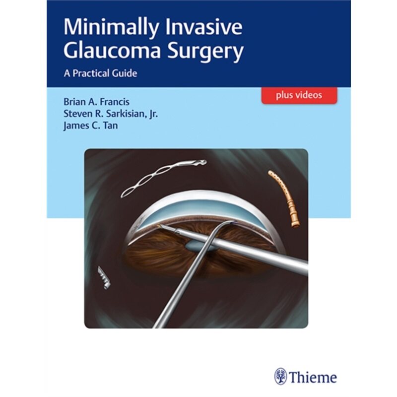 预订不退不换Minimally Invasive Glaucoma Surgery[9781626231566]