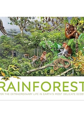 现货Rainforest[9780241716427]