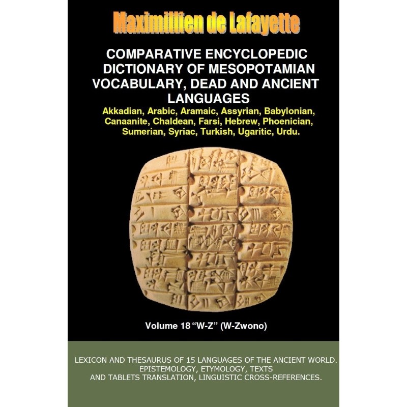 预订，预计下单后2-3周左右发货！