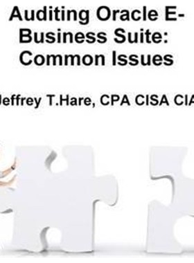 按需印刷Auditing Oracle E-Business Suite[9781329529762]