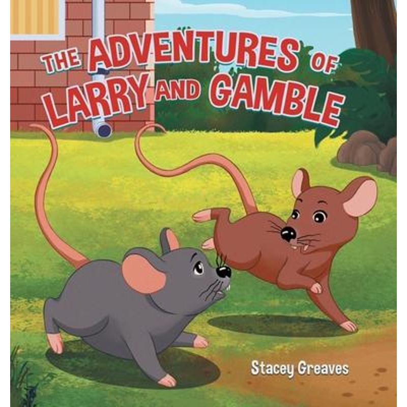 预订，预计下单后2-3周左右发货！