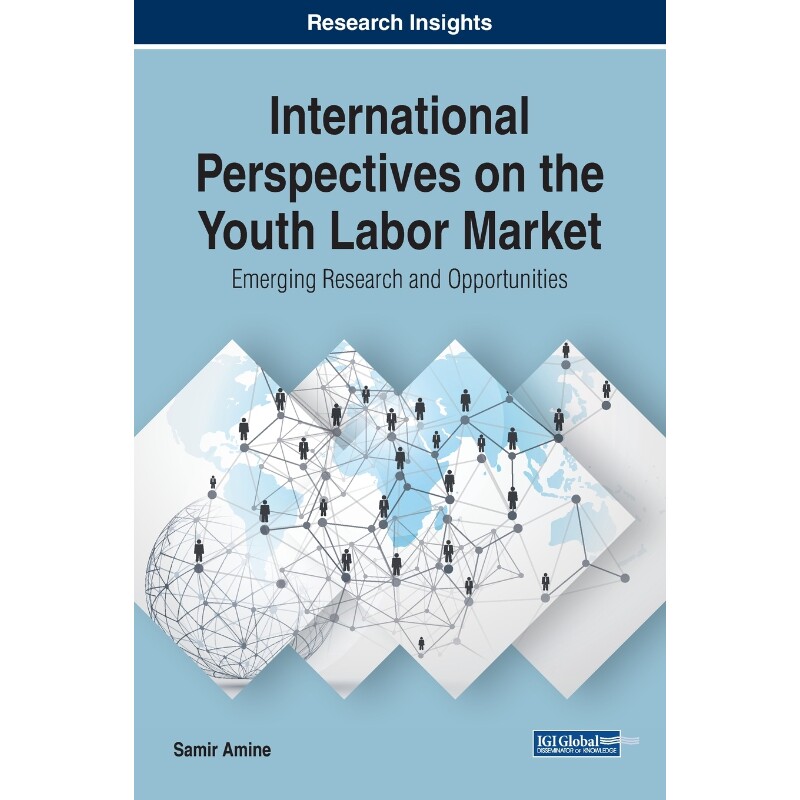 按需印刷不退不换International Perspectives on the Youth Labor Market[9781799827795]