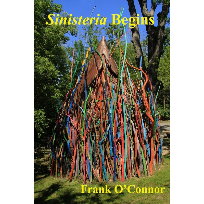 预订，预计下单后2-3周左右发货！