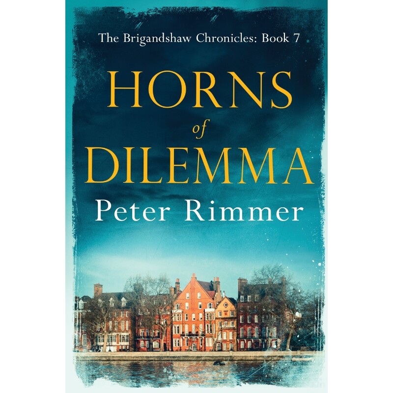 预订，预计下单后2-3周左右发货！