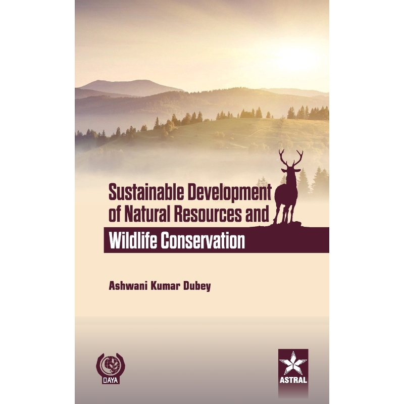 预订，预计下单后2-3周左右发货！