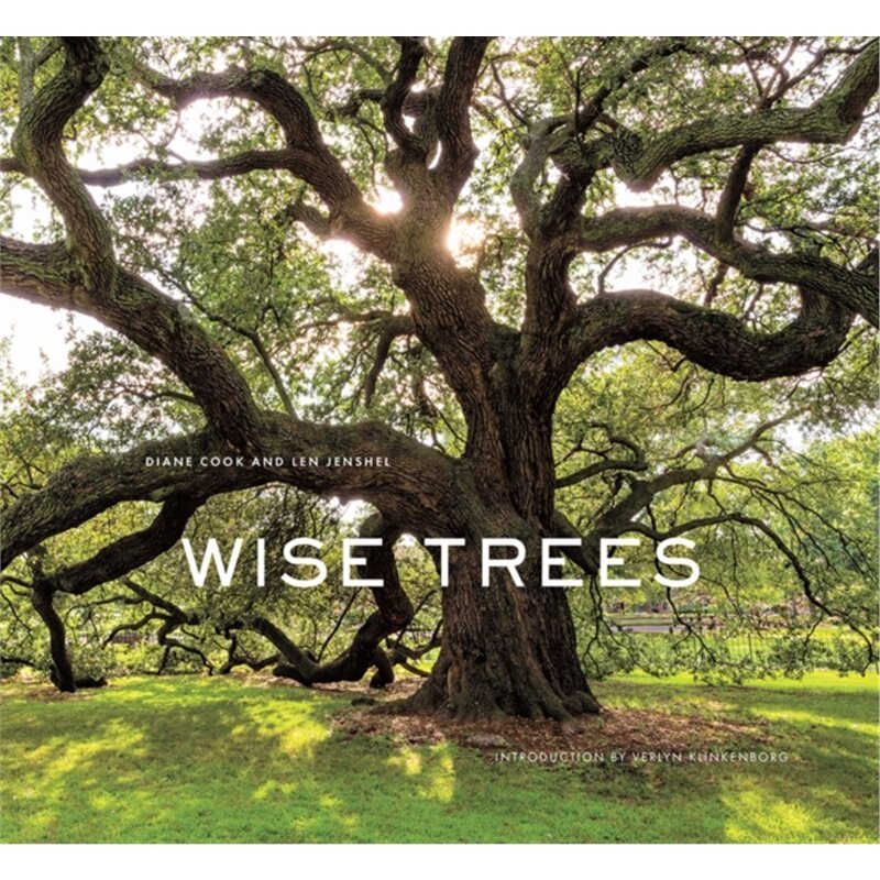 预订不退不换Wise Trees[9781419727009]