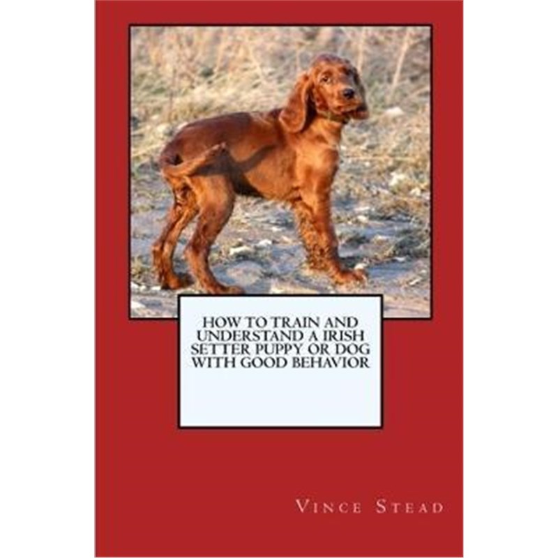 预订，预计下单后3-4周左右发货！