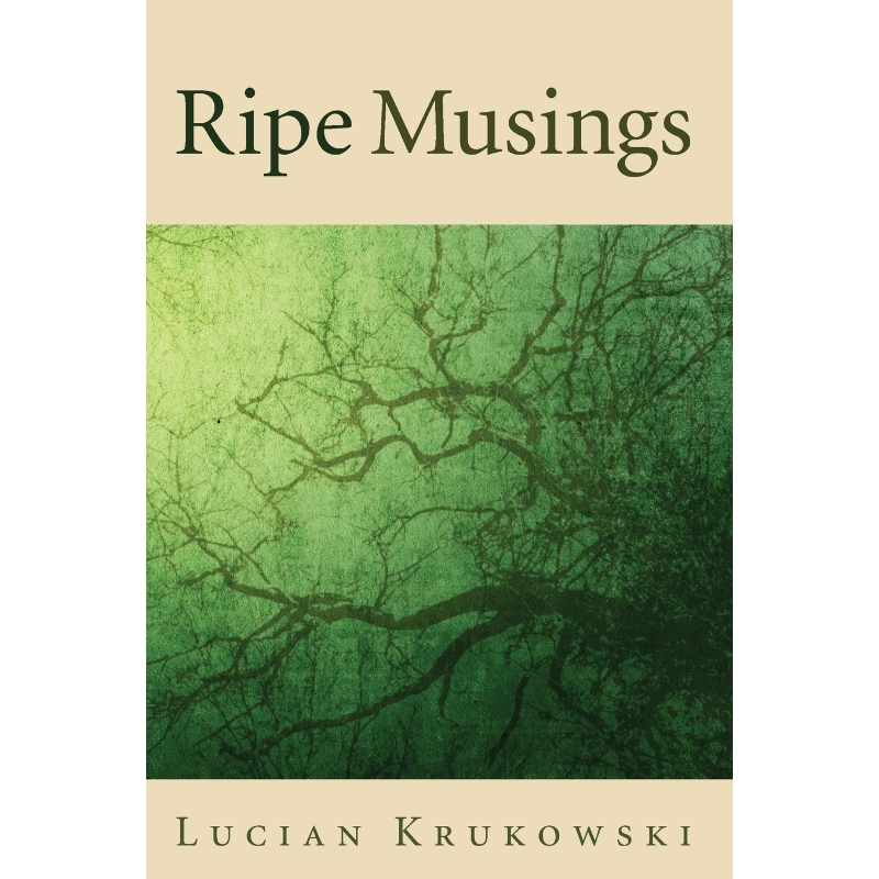 预订，预计下单后2-3周左右发货！