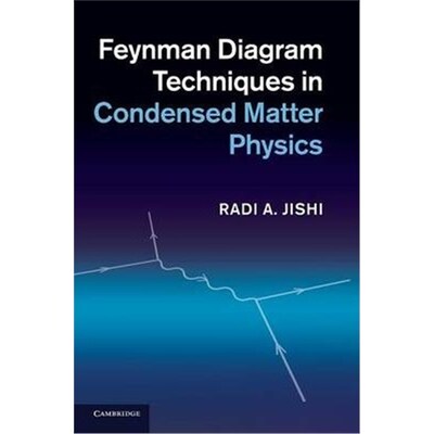 按需印刷Feynman Diagram Techniques in Condensed Matter Physics[9781107025172]