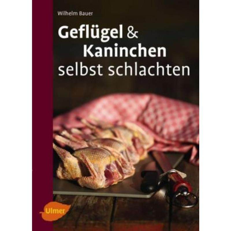 预订，预计下单后3-6周左右发货！