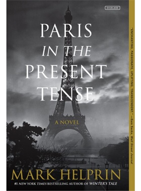 预订Paris in the Present Tense: A Novel[9781468316681]