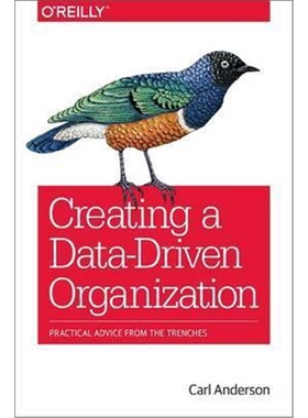 按需印刷不退不换Creating a Data-Driven Organization[9781491916919]