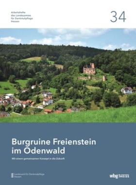 预订【德语】 Burgruine Freienstein im Odenwald:Mit einem gemeinsamen Konzept in die Zukunft