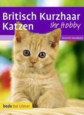 预订【德语】 Britisch Kurzhaar Katzen: