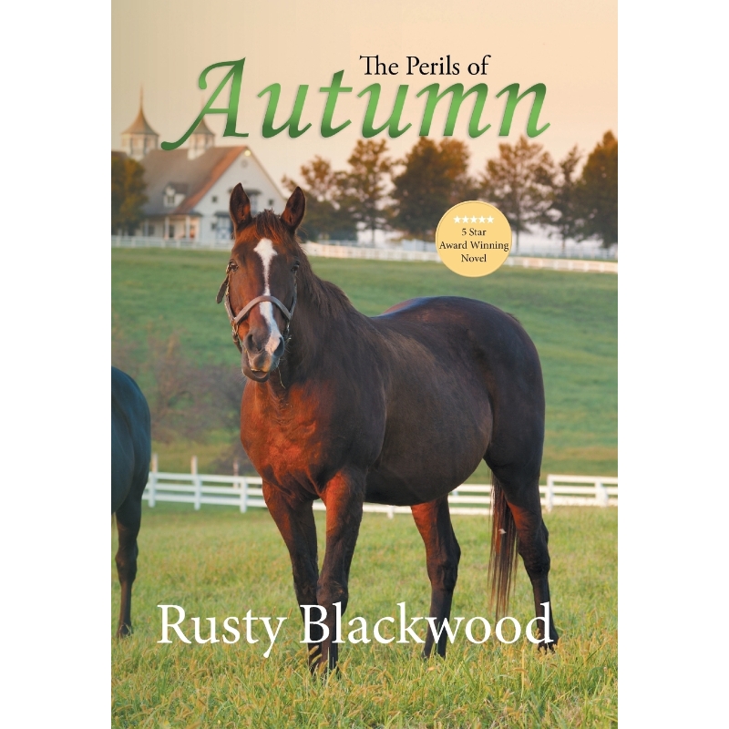 预订，预计下单后2-3周左右发货！