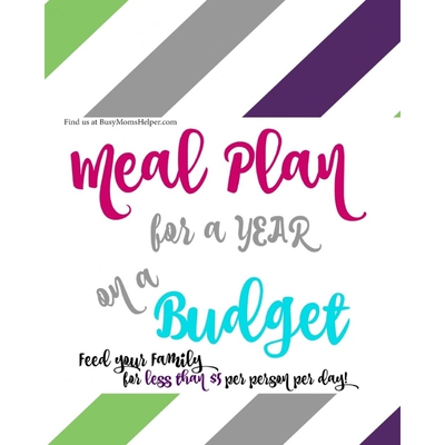 按需印刷不退不换A YEAR of Budget Meal Plans - with Recipes![9781367319141]