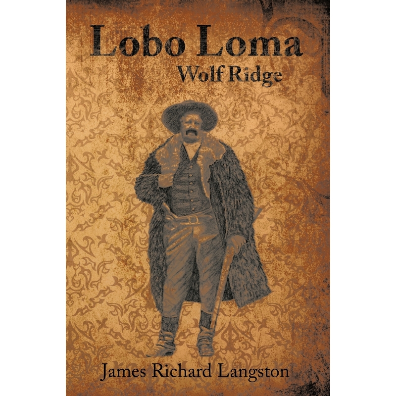 预订，预计下单后2-3周左右发货！