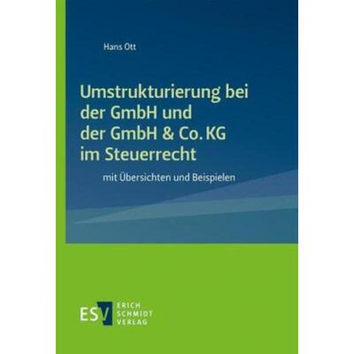 预订【德语】 Umstrukturierung bei der GmbH und der Gmb