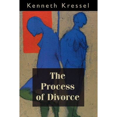 按需印刷不退不换The Process of Divorce[9780765700490]