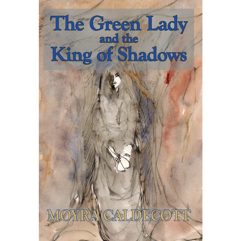 预订，预计下单后2-3周左右发货！