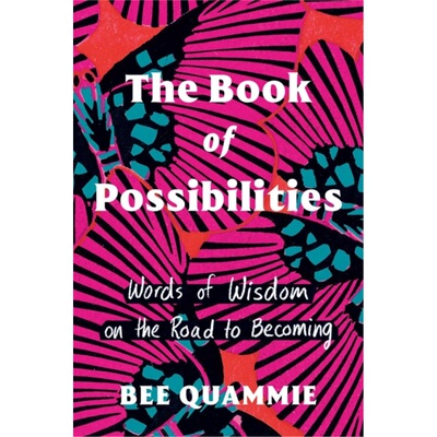 预售【2025新书】THE BOOK OF POSSIBILITIES[9780735243491]