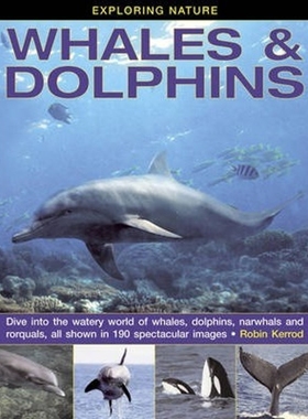 预订Exploring Nature: Whales & Dolphins:Dive into the Watery World of Whales, Dolphins, Narwhals and Rorquals, All Shown
