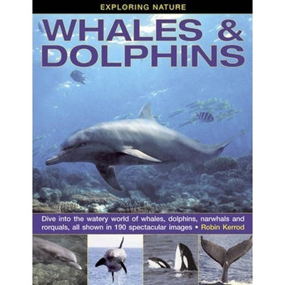 预订Exploring Nature: Whales & Dolphins:Dive into the Watery World of Whales, Dolphins, Narwhals and Rorquals, All Shown