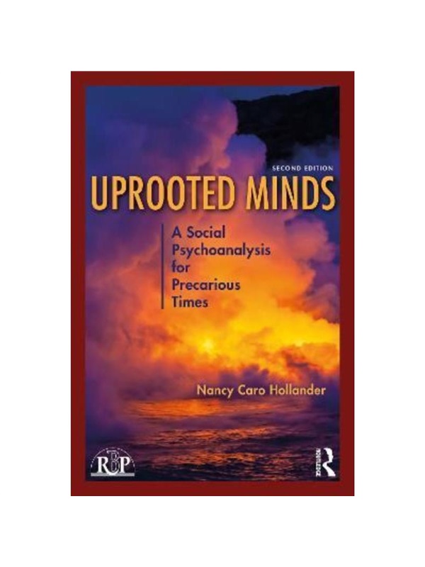 预订，预计下单后3-6周左右发货！