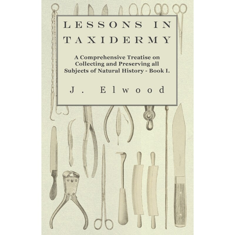 预订不退不换Lessons in Taxidermy - A Comprehensive Treatise on Collecting and Preserving all Subjects of Natural