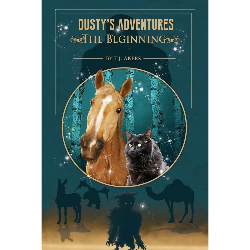 预订，预计下单后2-3周左右发货！