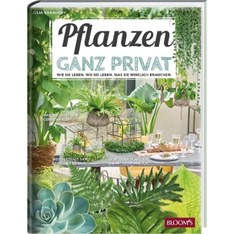 预订，预计下单后3-6周左右发货！