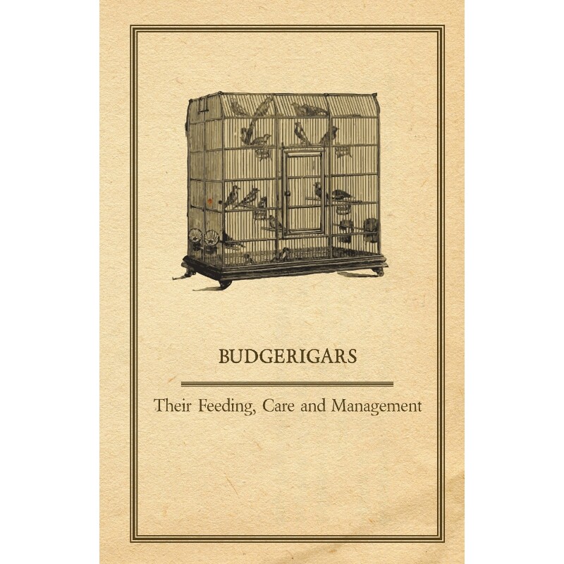 按需印刷不退不换Budgerigars - Their Feeding, Care and Management[9781447410300]