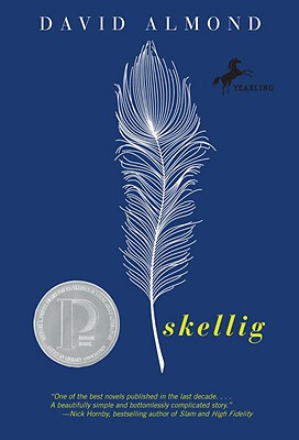 Skellig 当天使坠落人间 David Almond 戴维阿蒙德 英文原版书 2000年普林兹奖 青少年小说中小学生课外兴趣阅读