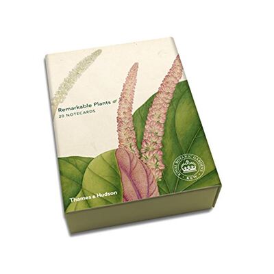 Remarkable Plants: Notecards: Box of 20 (Thames &