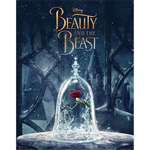 迪士尼 Beauty and the Beast Novelization (Disney)