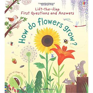 How Do Flowers Grow