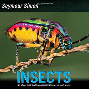 Insects